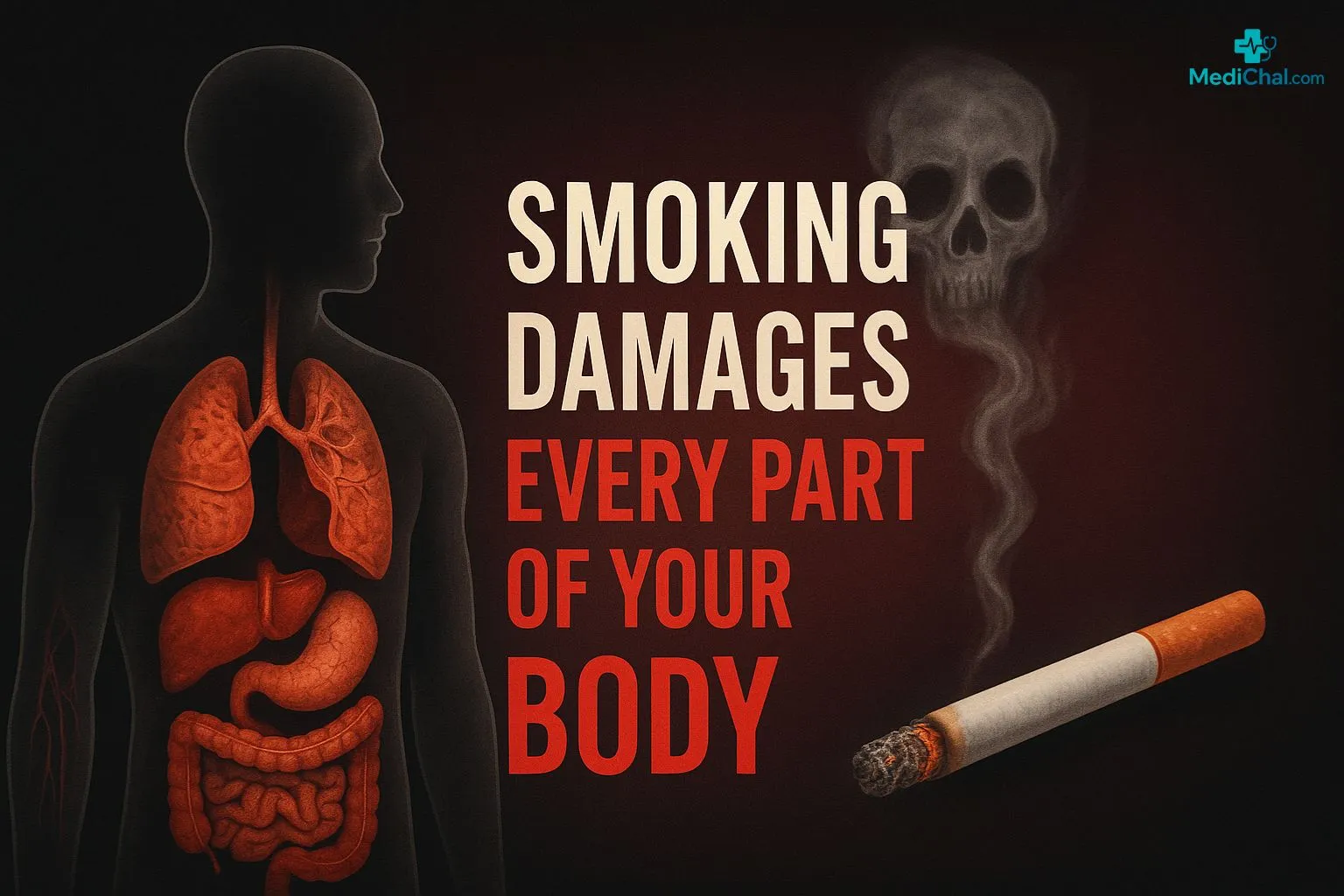 How Smoking Damages the Body